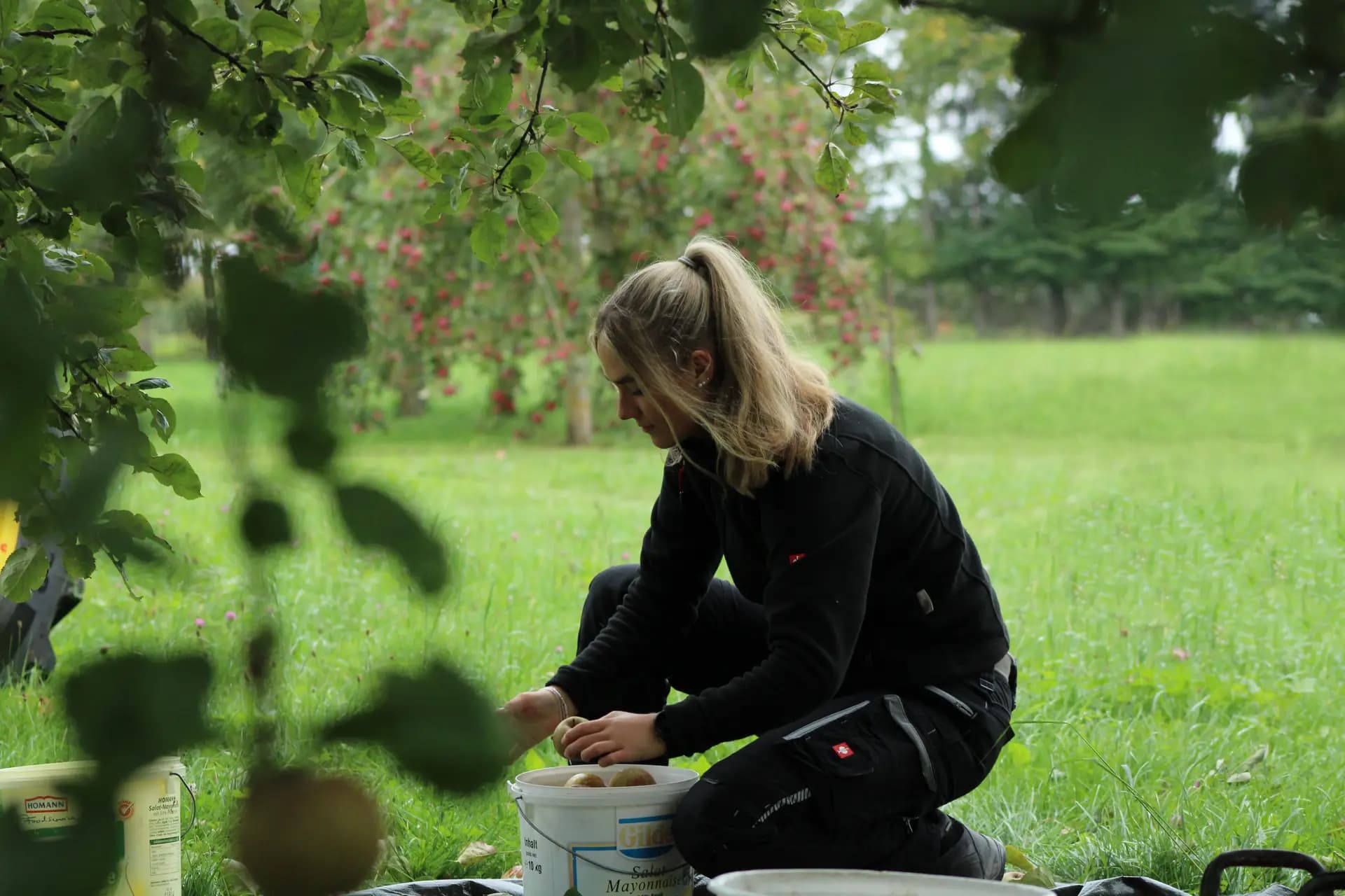 Fee seitlich bei der Apfelernte